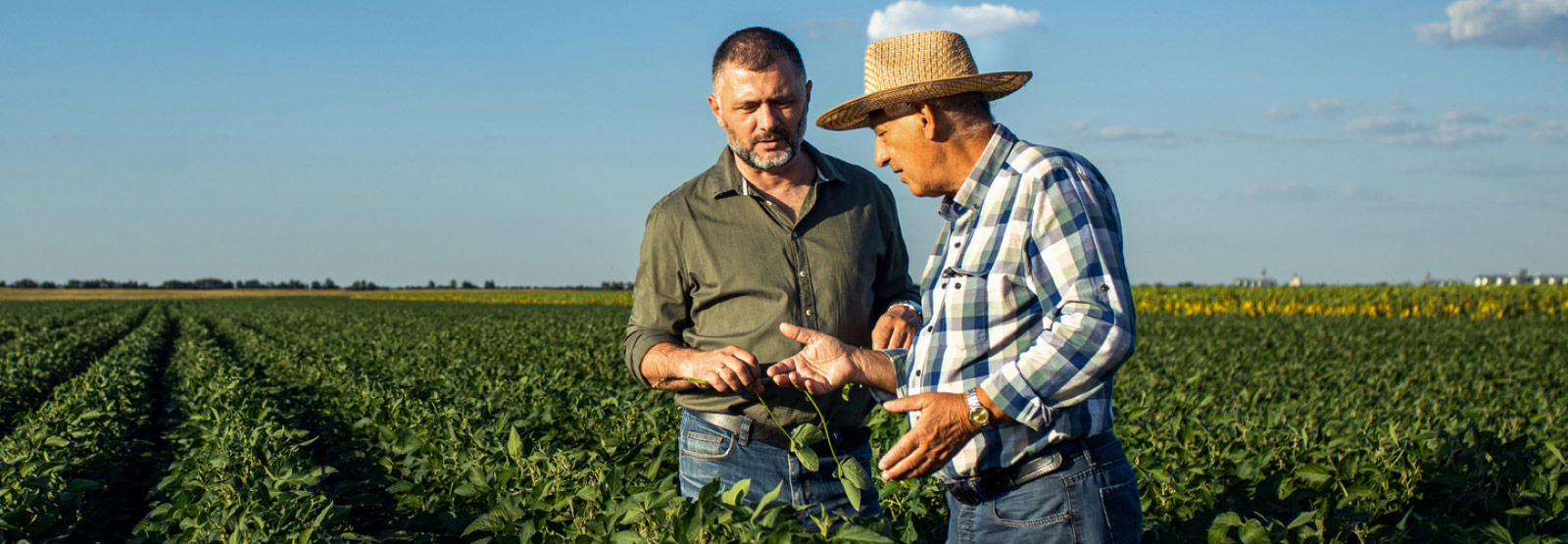two people on a farm